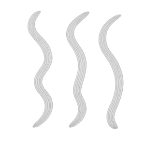 WAVY LINES